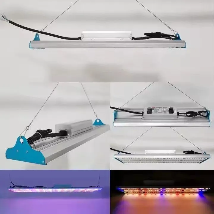 leds indoor quantum board 07(001)
