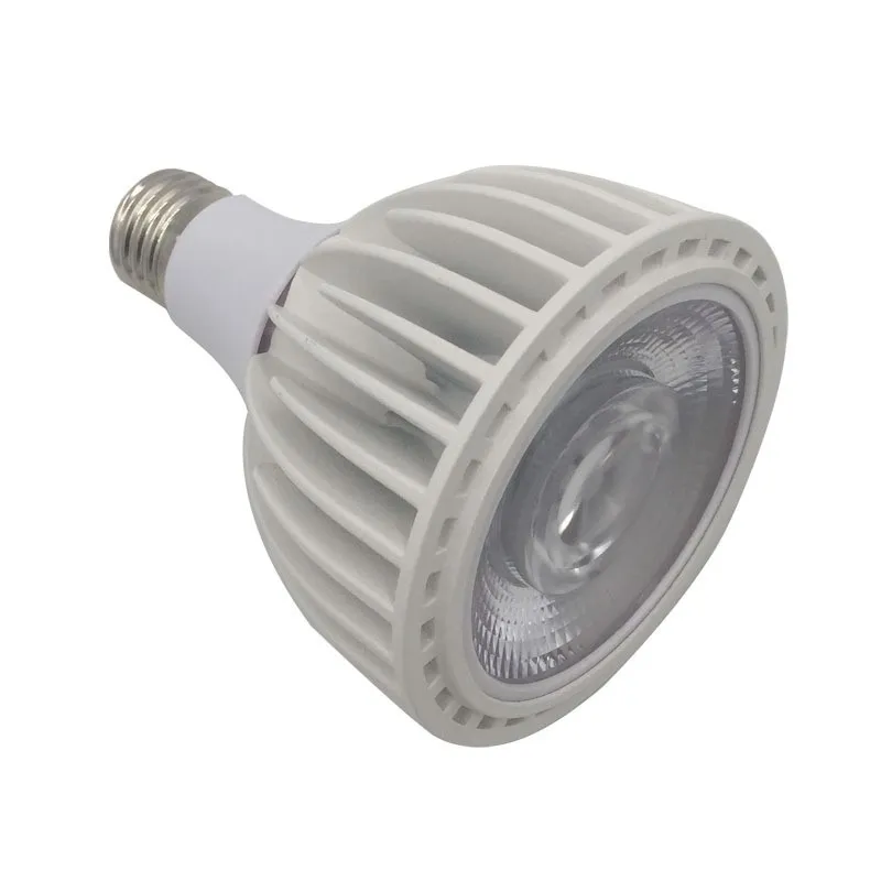 Par30 LED Spotlight